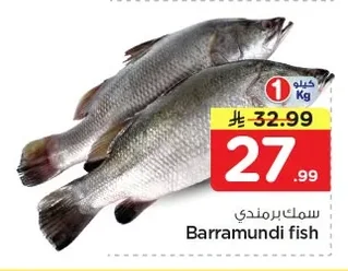 سمك براموندي