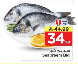 سيبريم كبير