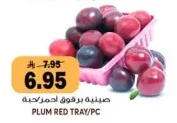 صينيه برقوق احمر