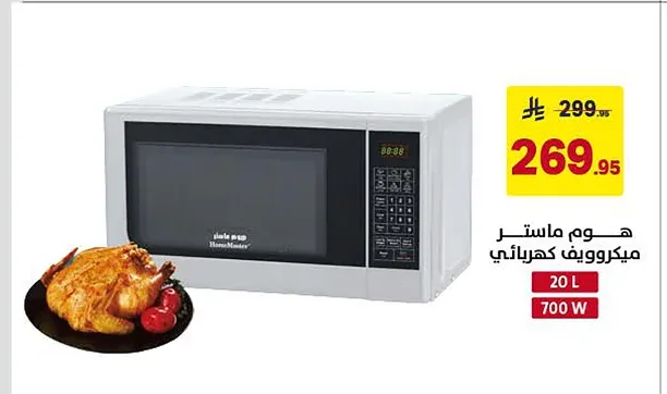 Electric Microwave Oven