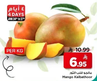 مانجو كلب الثور