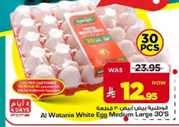 White Egg Medium Large