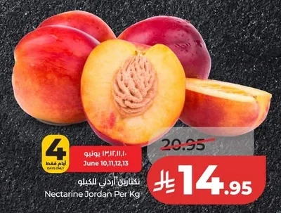 Nectarine Jordan Per Kg