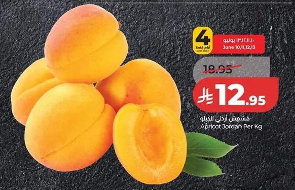 Apricot Jordan Per Kg