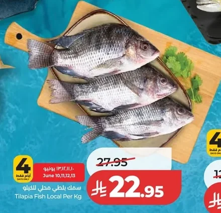 سمك بلطي محلي للكيلو