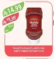 Hunts Tomato Ketchup