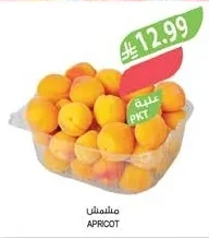 مشمش