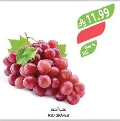 عنب احمر