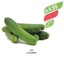 خيار