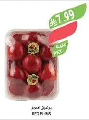 برقوق احمر