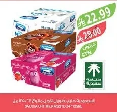 Saudia Long Life Milk Assorted