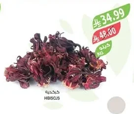 HIBISCUS
