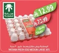 WATANIA FRESH EGG MEDIUM LARGE