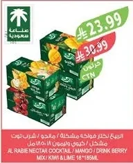 الربيع نكتار فواكه مشكلة / مانجو / شراب توت