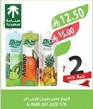 الربيع عصير طويل الأجل