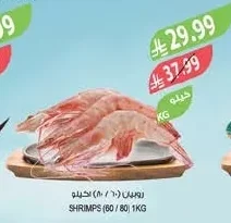 SHRIMPS (60 / 80)