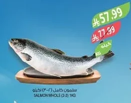 SALMON WHOLE (2-3)