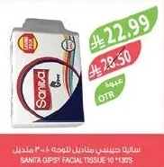 سانيتا جيبسي مناديل للوجه ١٠ × ١٣٠ منديل