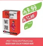 Bigen Hair Color Powder 6GR