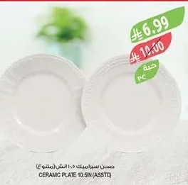 CERAMIC PLATE