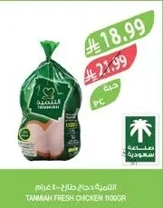 TANMIAH Fresh Whole Chicken
