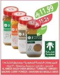 AL AMEER Saudi Kabsa / Turmeric / Mixed Spices 300g