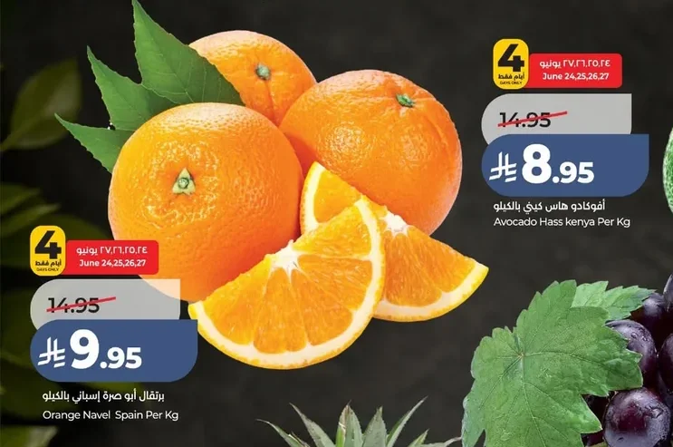 Orange Navel Spain