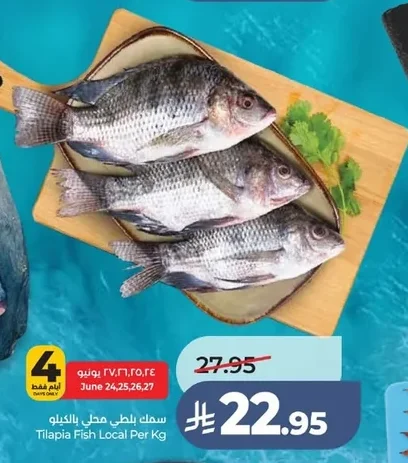 سمك بلطي محلي