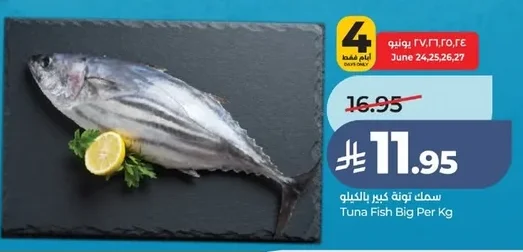 سمك تونة كبير