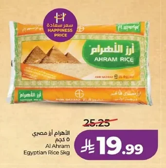 الأهرام أرز مصري