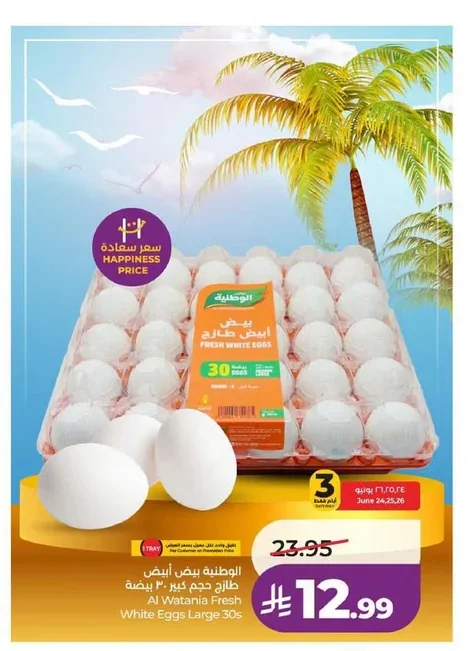 الوطنية بيض أبيض طازج
