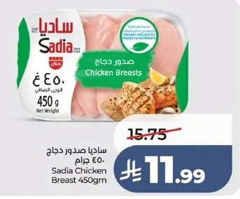 ساديا صدور دجاج
