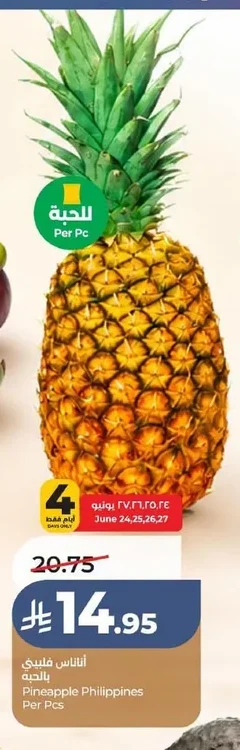 Pineapple Philippines Per Pcs