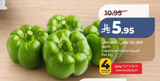 Capsicum Green Saudi