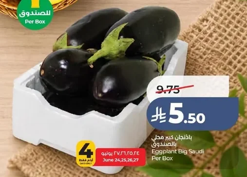 Eggplant Big Saudi