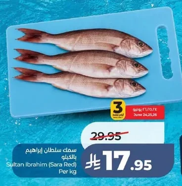 سمك سلطان ابراهيم