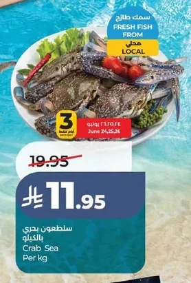 سلطعون بحري