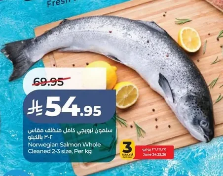 سلمون نرويجي كامل منظف مقاس