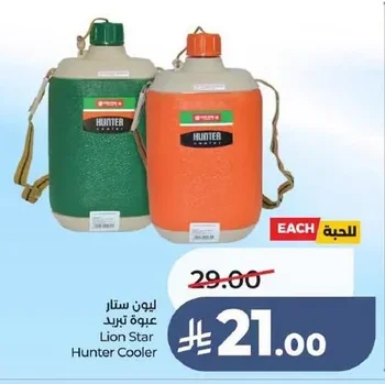 Cooler Bag