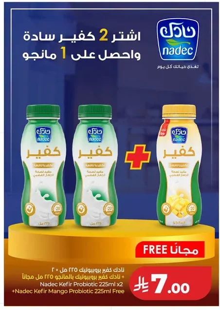 Nadec Kefir Plain and Mango
