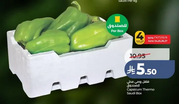 فلفل رومي محلي