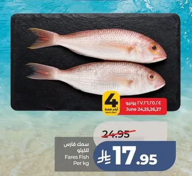 سمك فارس
