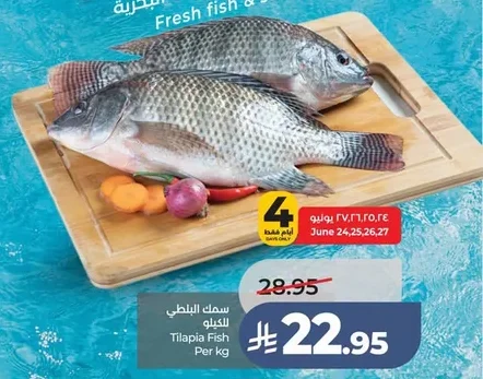 سمك البلطي