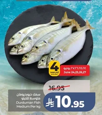 سمك ديردومان متوسط