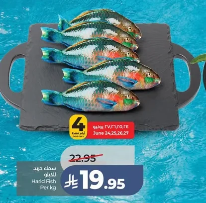 Harid Fish