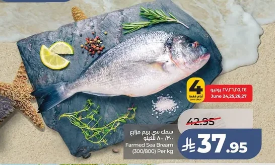 سمك بريم مزارع
