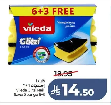 فايلدا اسفنجات