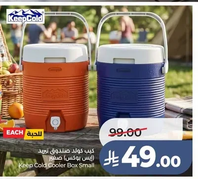 Keep Cold Cooler Box Small