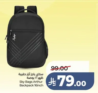 سكاي باجز آرثر حقيبة ظهر ١٦ بوصة