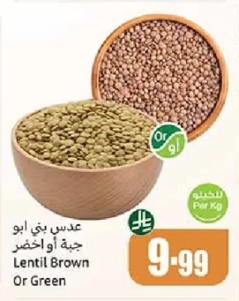 Lentil Brown Or Green
